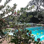 Ein Urlaub Im Gruenen By Interhome *