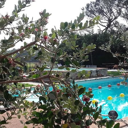 Ein Urlaub Im Gruenen By Interhome *