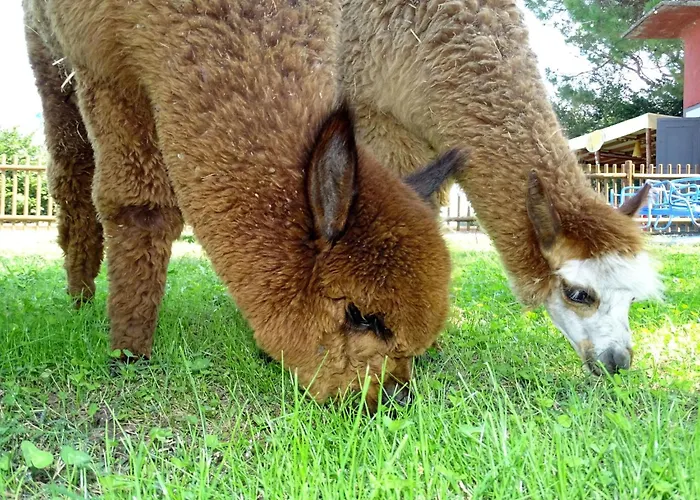 Ein Urlaub Im Gruenen By Interhome شقة *