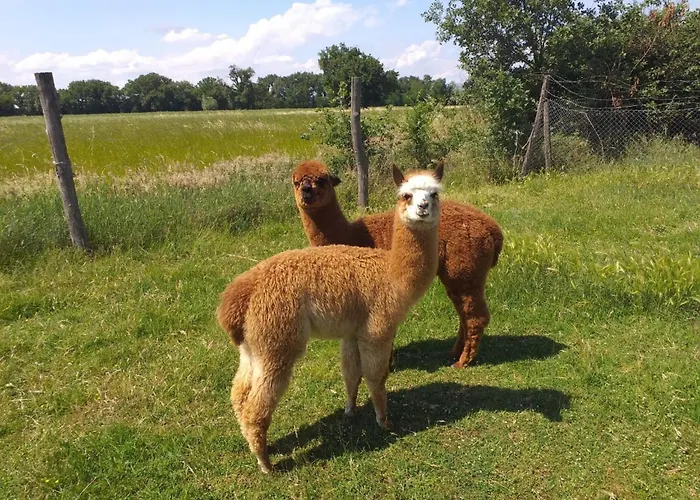 شقة Ein Urlaub Im Gruenen By Interhome *